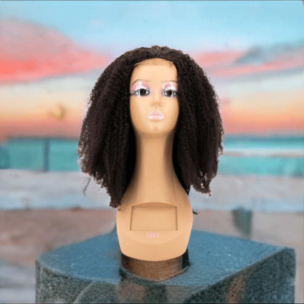 Afro Kinky Closure Wig - Inches Matter